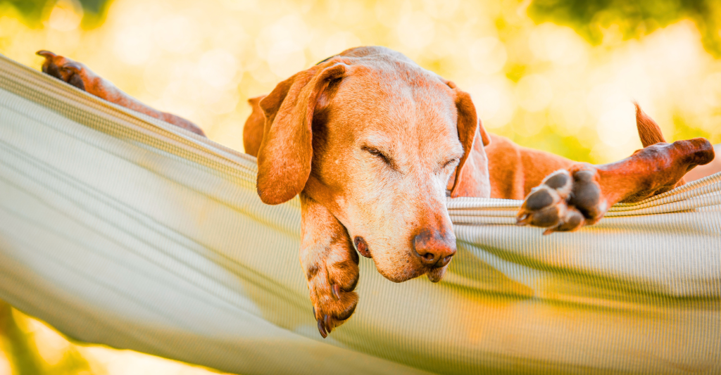 Hypnose? Das ist doch nur&nbsp;Entspannung.